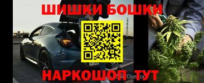 индика Будённовск