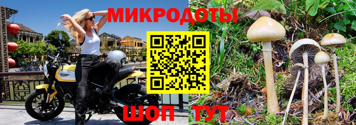 Галлюциногенные грибы Psilocybe  Вход с VPN  Новомосковск 